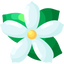 Jasmin