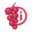 Johannisbeerrot DI