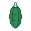 Kardamom Guatemala