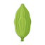 Kardamon