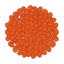 Karottensamen