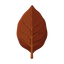 Kentucky-Tabak