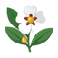 Labdanm