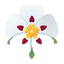 Labdanum (Zistrose)