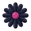 Lakritzblumen