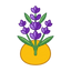 Lavendel Ambra