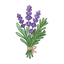 Lavendel und Rosmarin