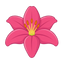 Lilienblüte