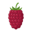 Loganbeere