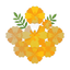 Madagassische Tagetes