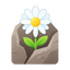 Mauerblümchen