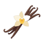 Mexikanische Vanille