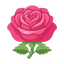 Natürliche bulgarische Rose