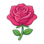 Natürliche türkische Rose