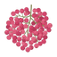 Natürlicher rosa Pfeffer
