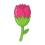 Nelkenknospe
