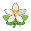 Neroli Tunesien
