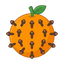 Orange und Gewürznelke