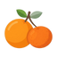 Orangen und Mandarinen