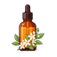 Orangenblüten-Absolue