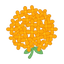 Osmanthus (Duftblüte)