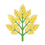 Palmblüte