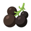 Pfeffer