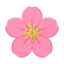 Pfirsichblüte