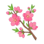 Pfirsichblüten