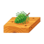 Pinienholz