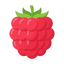 Raspberry