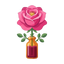 Reines Rosen-Absolue
