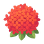 Rondeletia