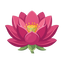 Rosa Lotus Absolut