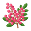 Rosa Pfeffer (LMR)