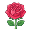 Rose Absolue