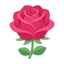 Rose aus der Türkei