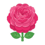 Rose Centifolia Vitessence