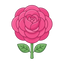 Rose de Mai