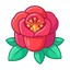 Rose Pfeffer