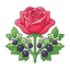 Rose und Cassisblüte