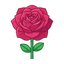 Rose von Taif