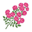 Rosyfolia Rose
