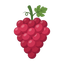 Rote Traube
