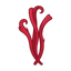 Saffron