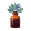 Salbei Absolut