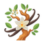 Sandelholz und Madagaskar-Vanille