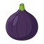 Schwarze Feige