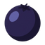 Schwarze Johannisbeere (Cassis)