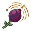 Schwarze-Johannisbeere-Knospe Absolue